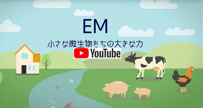 EMネットのYouTube