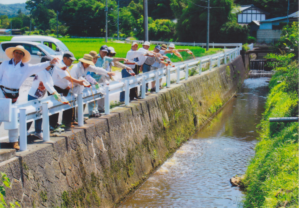 EM団子で環境改善