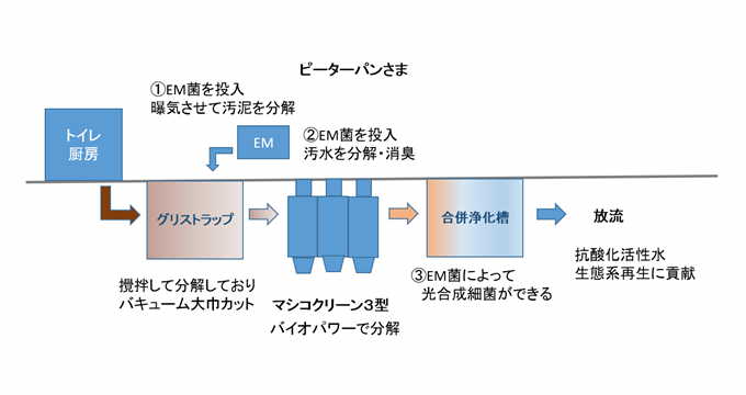 ピーターパンさま構成